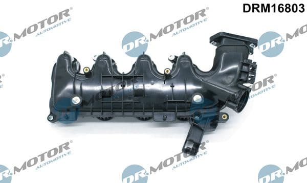 Intake Manifold Module DRM16803