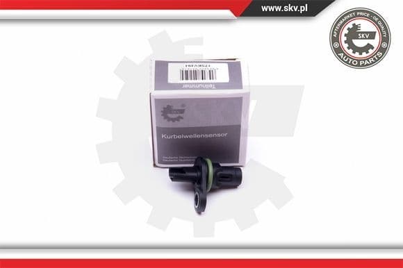 Sensor, camshaft position 17SKV494