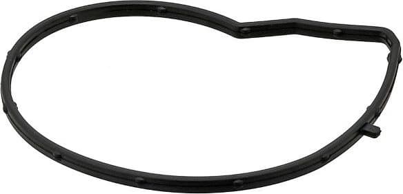 Gasket, water pump 387.590