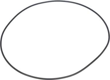 Water Pump, engine cooling 529516 - image 4