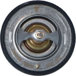 Thermostat, coolant EASY FIT 725111