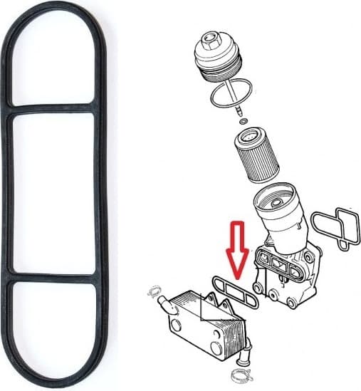 Gasket oil cooler 344.290