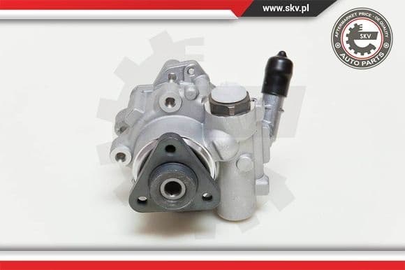 Hydraulic Pump, steering 10SKV048