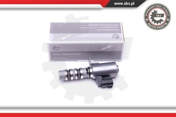 Control Valve, camshaft adjustment 39SKV051