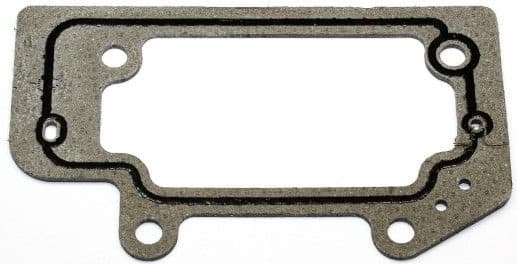 Gasket, timing case 818.682