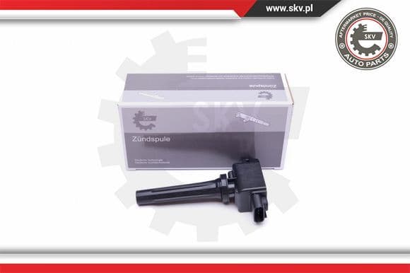 Ignition Coil 03SKV324
