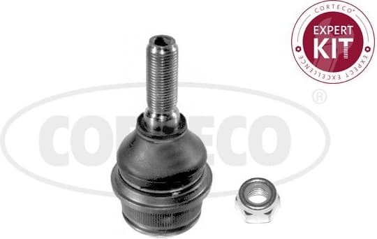 49395305