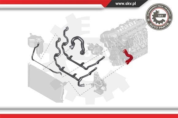 Radiator Hose 24SKV279 - image 4