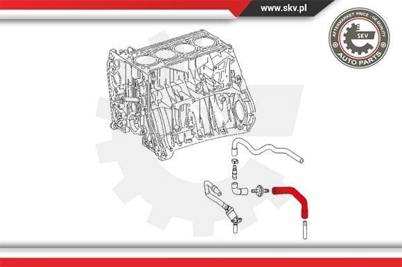 Hose, crankcase ventilation 31SKV128 - image 4
