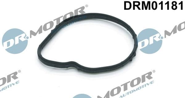Seal, thermostat DRM01181