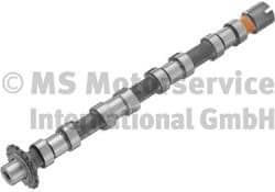 Camshaft 50007705