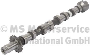 Camshaft 50007706
