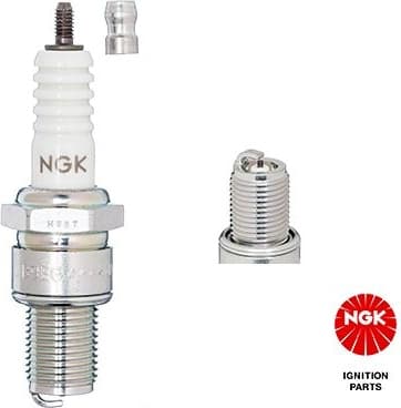 Spark Plug B8EG