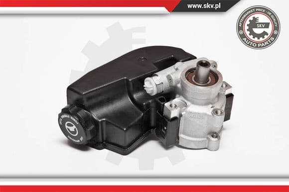 Hydraulic Pump, steering 10SKV090