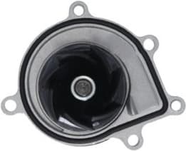 Water Pump, engine cooling 529531