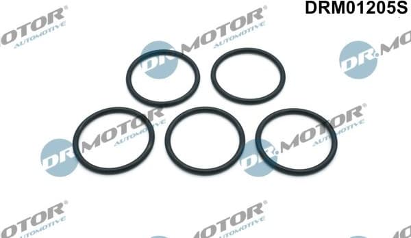 Gasket Set, water pump DRM01205S