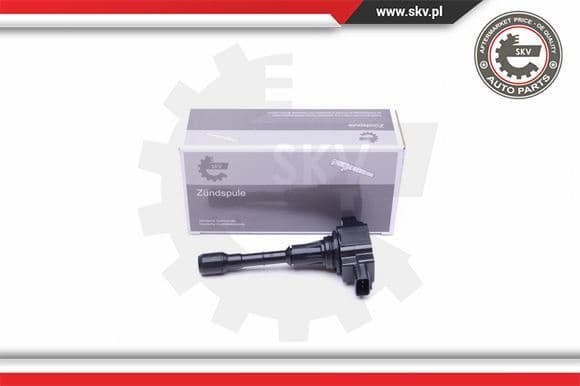 Ignition Coil 03SKV317