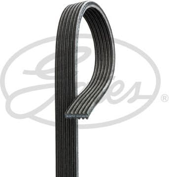 Belt PK-multirib 6DPK1698  GAT