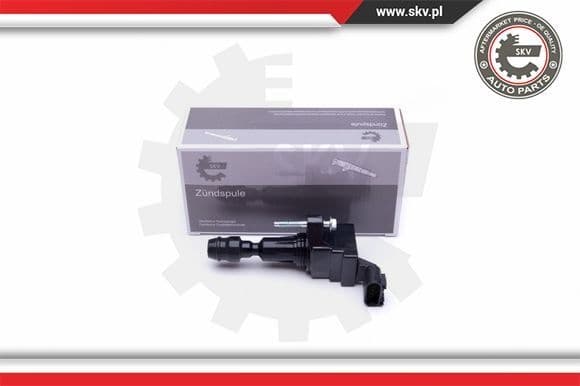 Ignition Coil 03SKV296