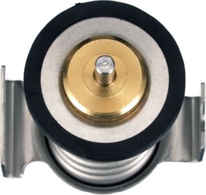 Thermostat, coolant TH64290G1 - image 2