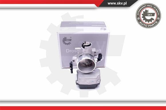Throttle Body 12SKV071