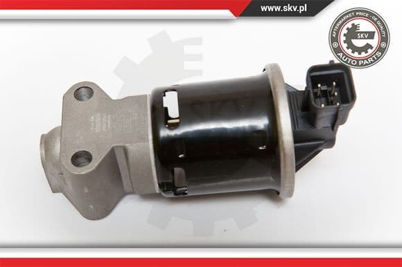 EGR Valve 14SKV059