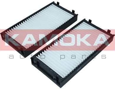 Filter, cabin air F421101 - image 3