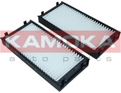 Filter, cabin air F421101 - image 4