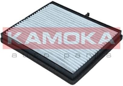 Filter, cabin air F515101 - image 2