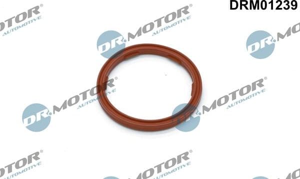 Seal Ring, engine oil level sensor DRM01239
