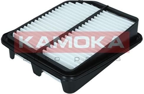 Air Filter F249901