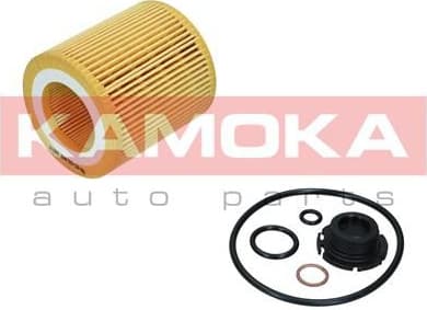 Oil Filter F119801