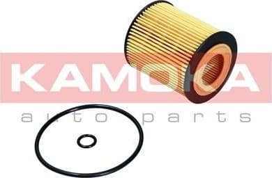 Oil Filter F120101 - image 2