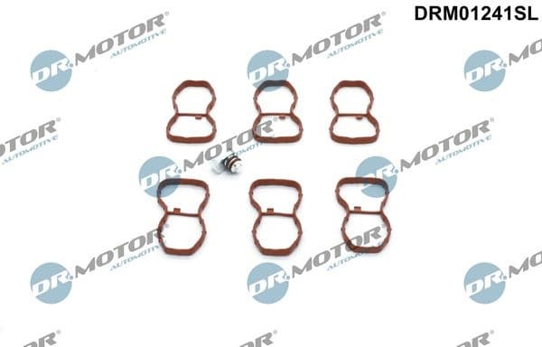 Repair Kit, intake manifold module DRM01241SL