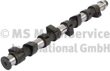 Camshaft 50006398