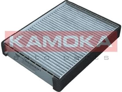 Filter, cabin air F516901 - image 2