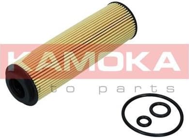 Oil Filter F119501