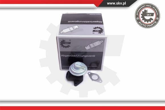 EGR Valve 14SKV205