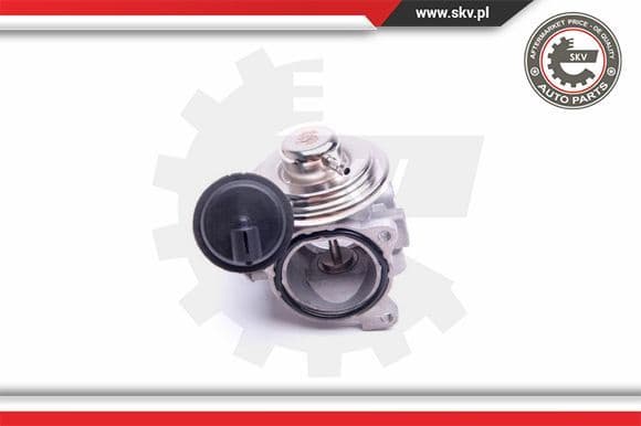 EGR Valve 14SKV206