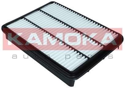 Air Filter F248701