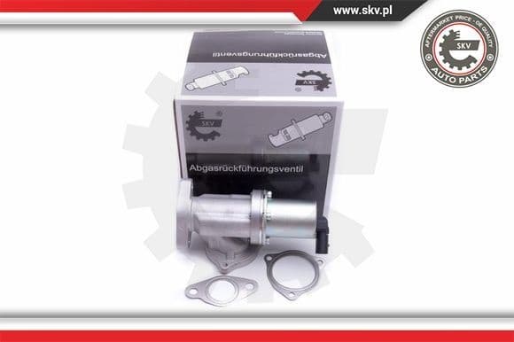 EGR Valve 14SKV209