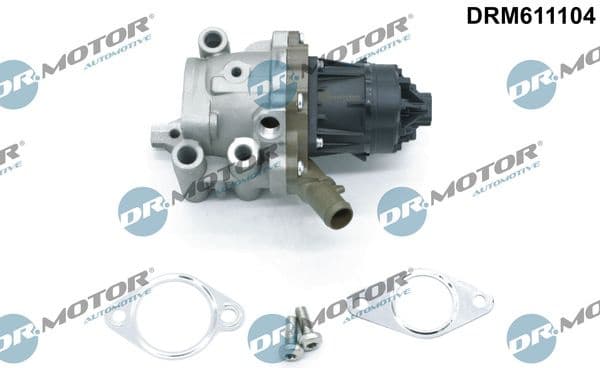 EGR Valve DRM611104