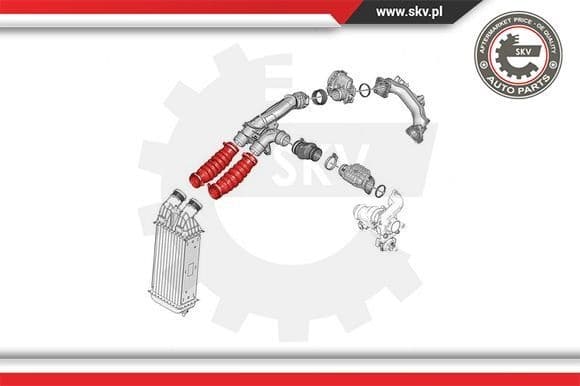 Charge Air Hose 24SKV779 - image 4