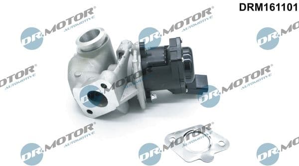 EGR Valve DRM161101