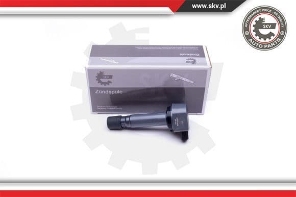 Ignition Coil 03SKV308