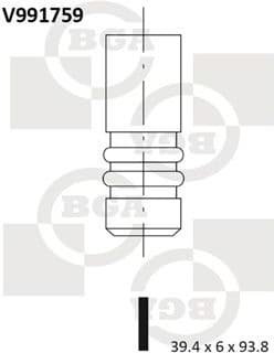 Intake Valve V991759