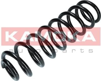 Suspension Spring 2110369