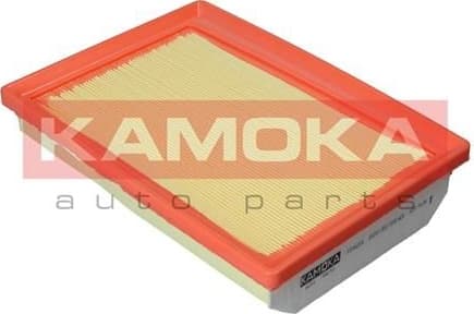 Air Filter F244201