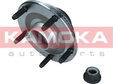 Wheel Bearing Kit 5500253