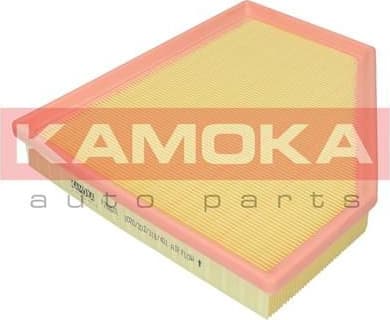 Air Filter F252601
